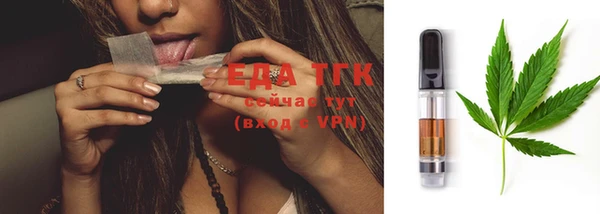 индика Нягань