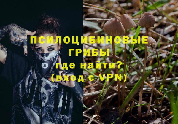 бутират Осинники