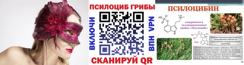 купить   Реутов  ОМГ ОМГ ссылка  Галлюциногенные грибы мухоморы 