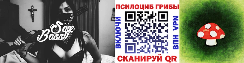 Галлюциногенные грибы Psilocybe Реутов